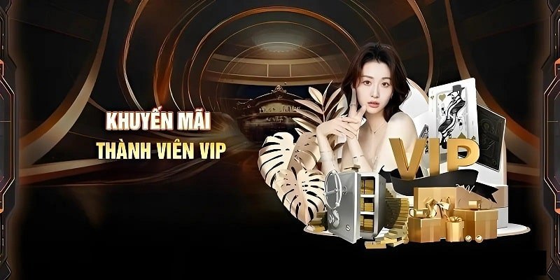 Thành viên VIP được hưởng nhiều đặc quyền