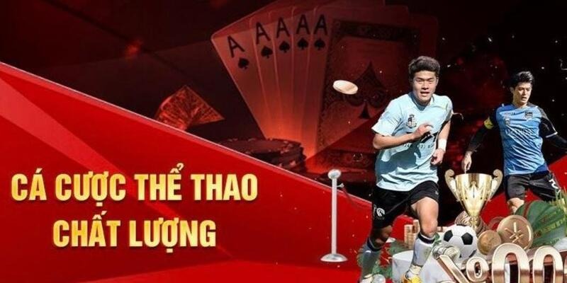 Giới thiệu sảnh IM và những ưu điểm vượt trội