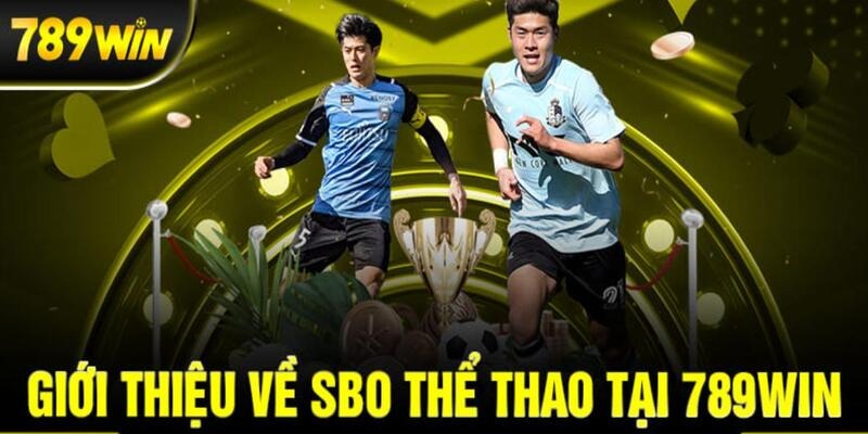 Giới thiệu sảnh SBO sport tại nhà cái